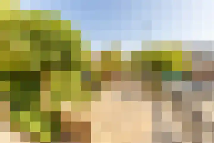 Cimbaalhof 38 Etten-Leur thumbnail 22