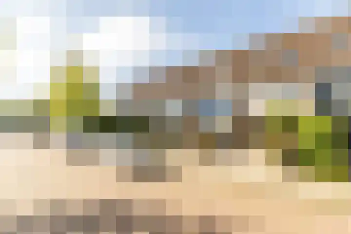 Cimbaalhof 38 Etten-Leur thumbnail 27