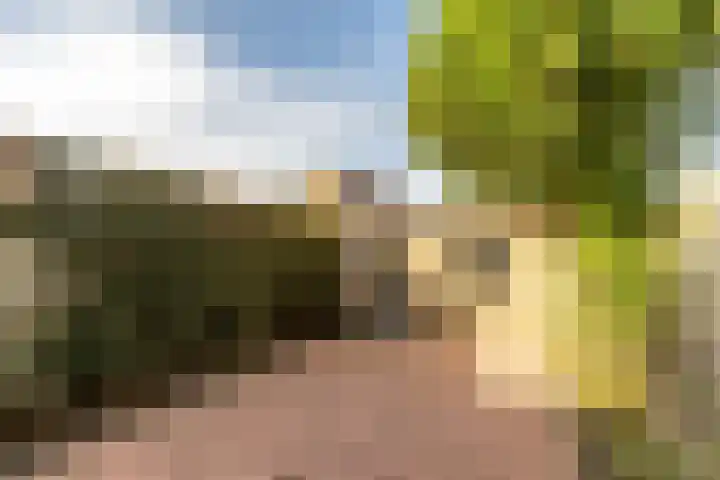 Cimbaalhof 38 Etten-Leur thumbnail 6