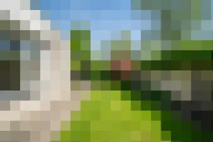 Cimbaallaan 26 B Uden thumbnail 10