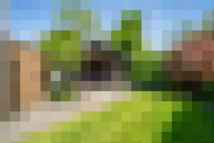 Cimbaallaan 26 B Uden thumbnail 11
