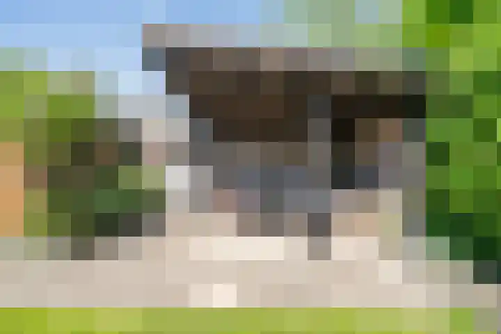 Cimbaallaan 26 B Uden thumbnail 12