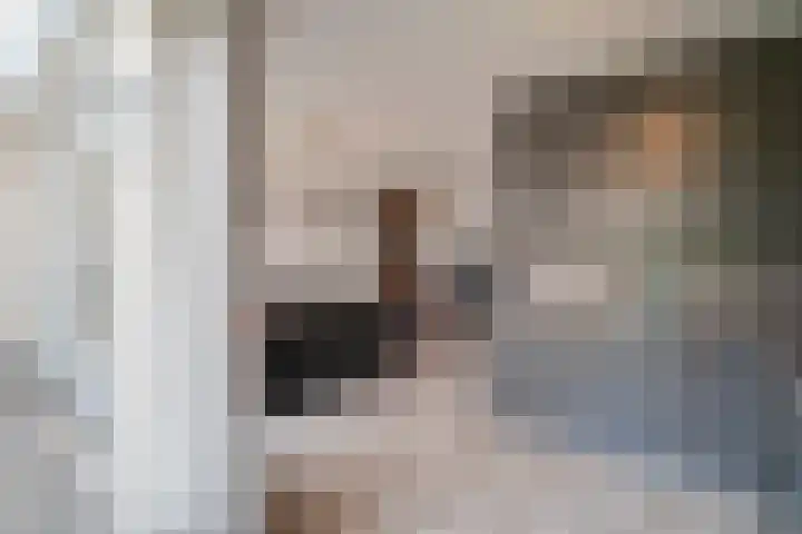 Cimbaallaan 26 B Uden thumbnail 17