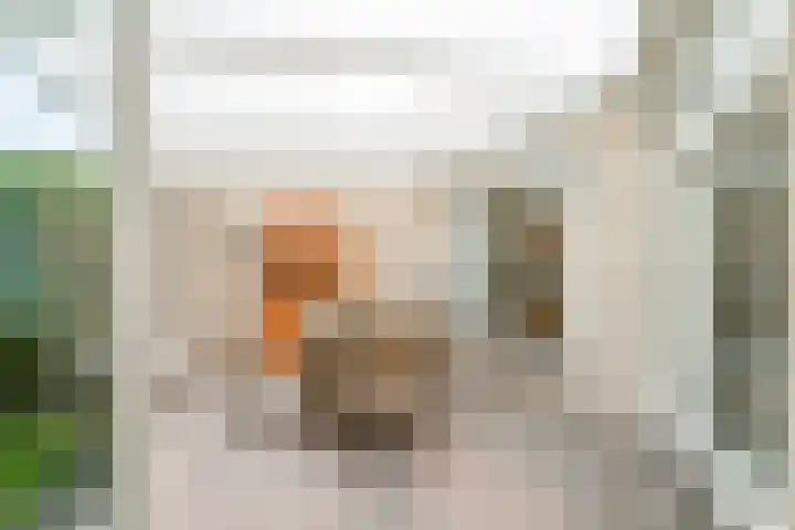 Cimbaallaan 26 B Uden thumbnail 19