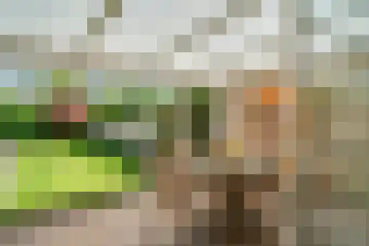 Cimbaallaan 26 B Uden thumbnail 20
