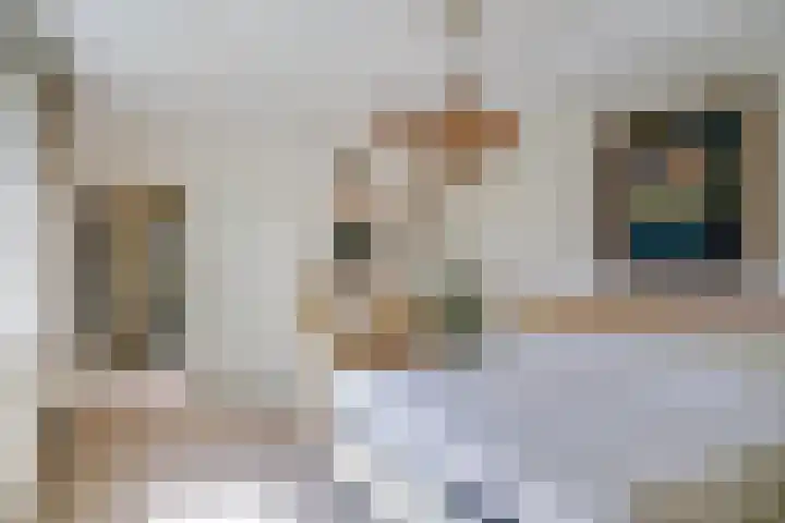 Cimbaallaan 26 B Uden thumbnail 22