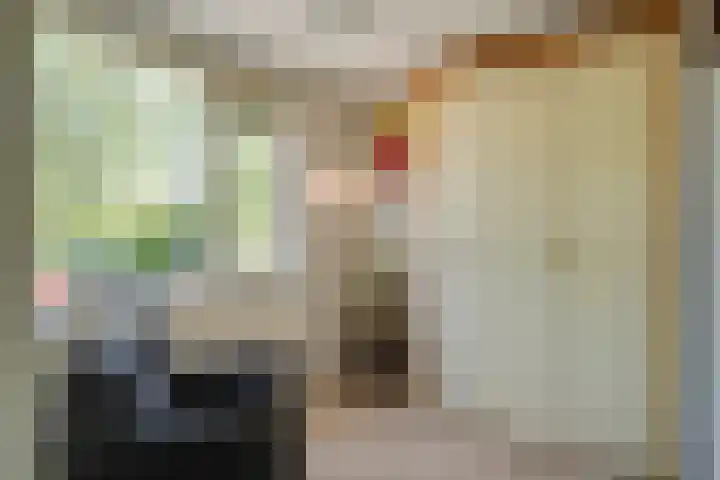 Cimbaallaan 26 B Uden thumbnail 28