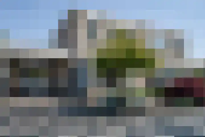 Cimbaallaan 26 B Uden thumbnail 5