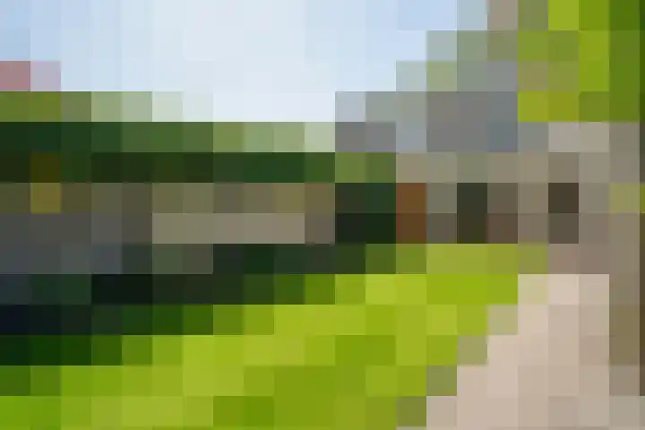 Cimbaallaan 26 B Uden thumbnail 7