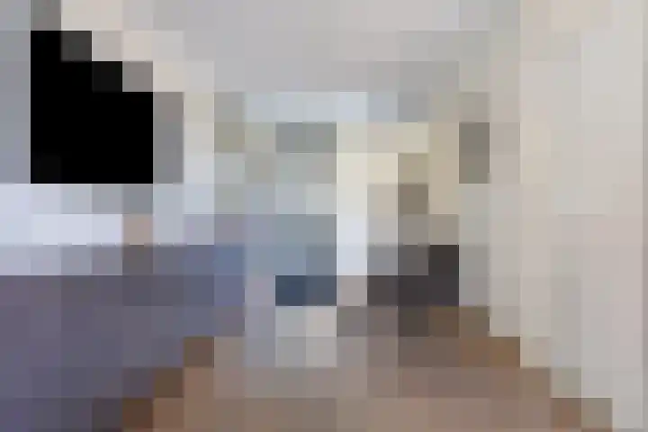 Cimbaallaan 7 Uden thumbnail 12