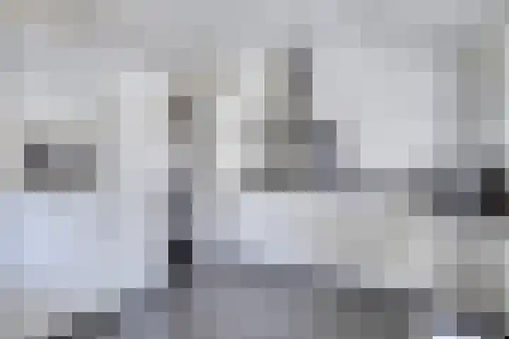 Cimbaallaan 7 Uden thumbnail 18