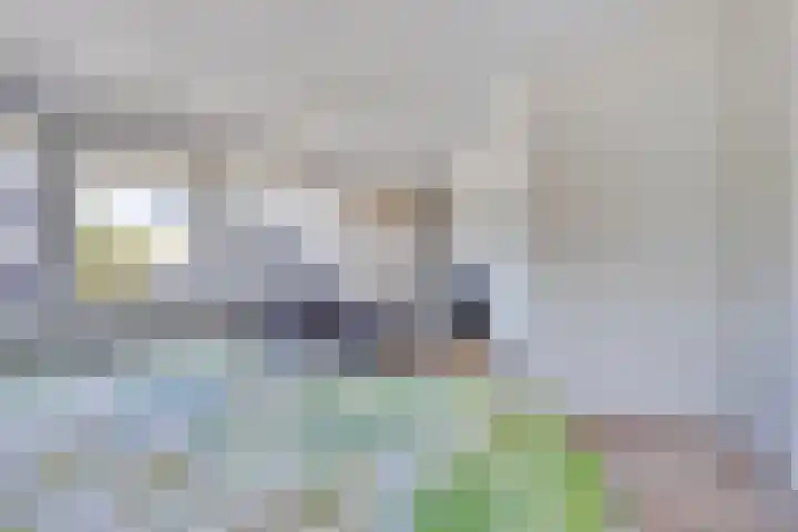 Cimbaallaan 7 Uden thumbnail 22