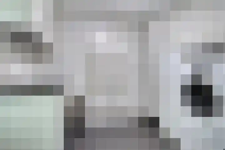 Cimbaallaan 7 Uden thumbnail 32