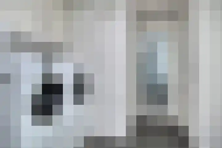 Cimbaallaan 7 Uden thumbnail 33