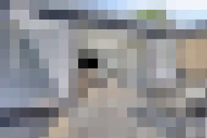 Cimbaallaan 7 Uden thumbnail 34