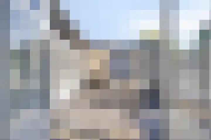 Cimbaallaan 7 Uden thumbnail 35