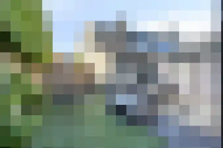 Cimbaallaan 7 Uden thumbnail 4
