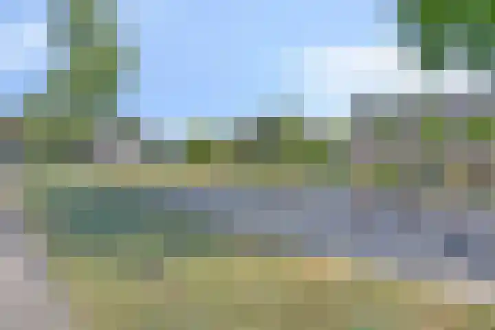 Cimbaallaan 7 Uden thumbnail 40