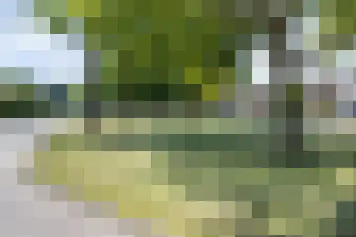 Cimbaallaan 7 Uden thumbnail 41