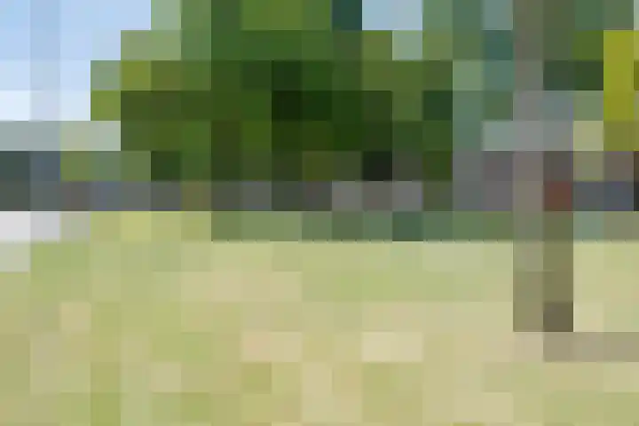 Cimbaallaan 7 Uden thumbnail 42