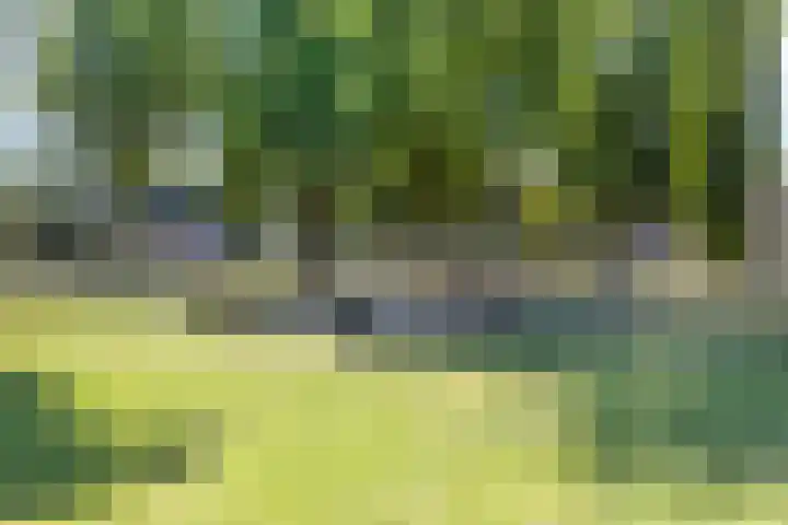 Cimbaallaan 7 Uden thumbnail 43