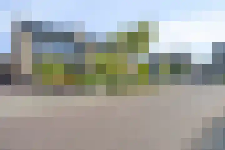 Cimbaallaan 7 Uden thumbnail 44