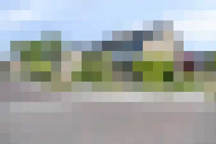 Cimbaallaan 7 Uden thumbnail 45