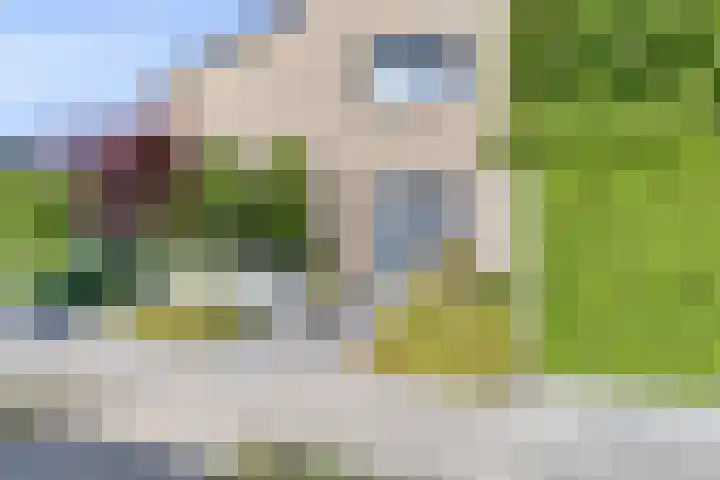 Cimbaallaan 7 Uden thumbnail 5