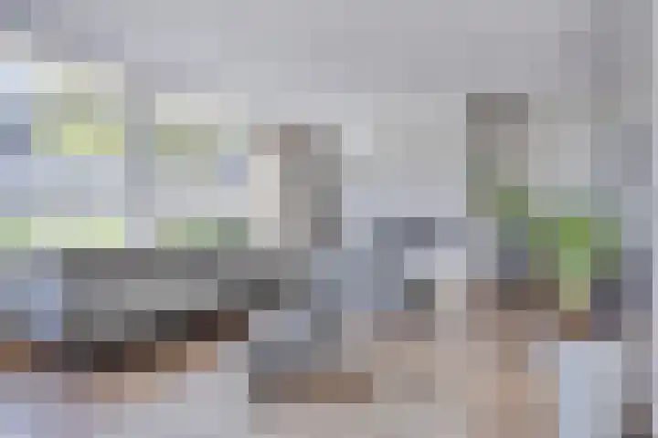 Cimbaallaan 7 Uden thumbnail 8