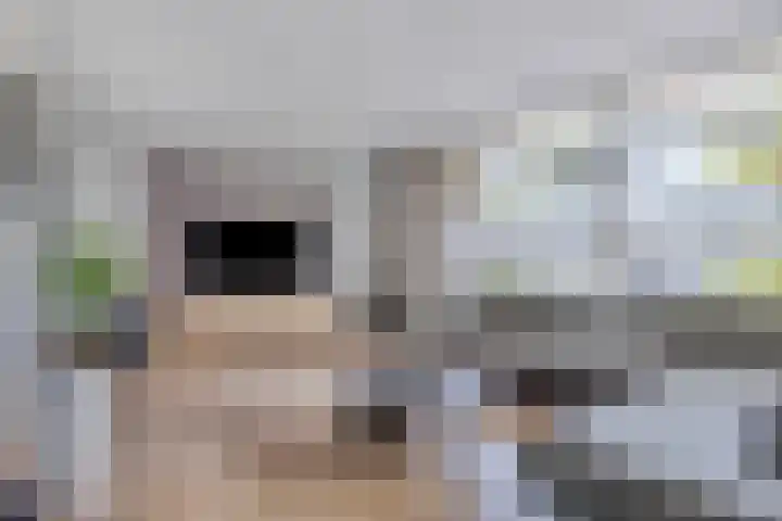 Cimbaallaan 7 Uden thumbnail 9