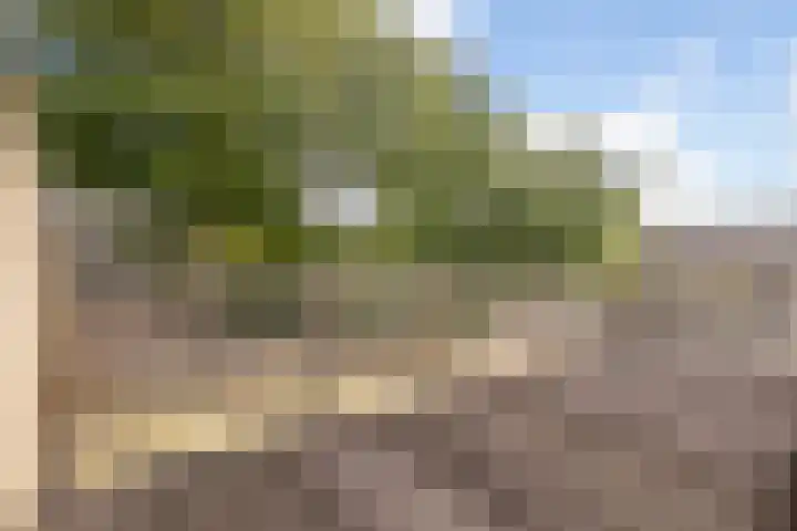 Cimbaalpad 2 Duiven thumbnail 14