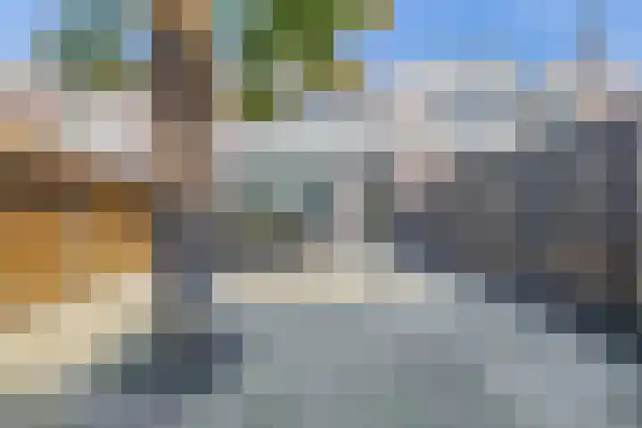 Cimbaalpad 2 Duiven thumbnail 15