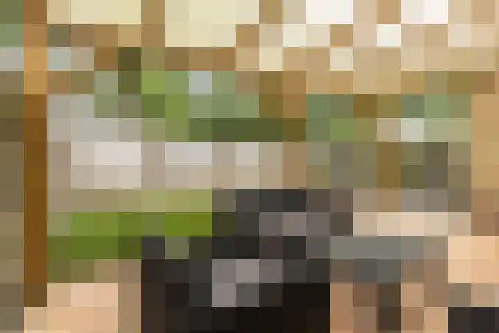 Cimbaalpad 2 Duiven foto 2