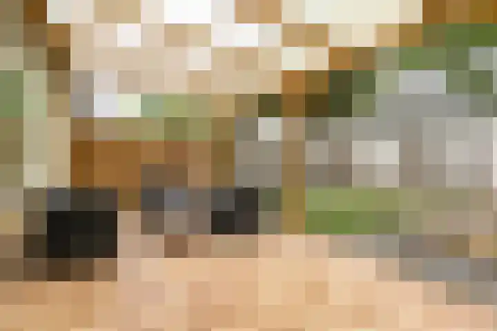 Cimbaalpad 2 Duiven thumbnail 27