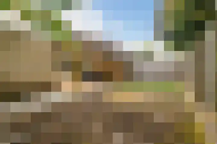 Cimbaalpad 2 Duiven thumbnail 30