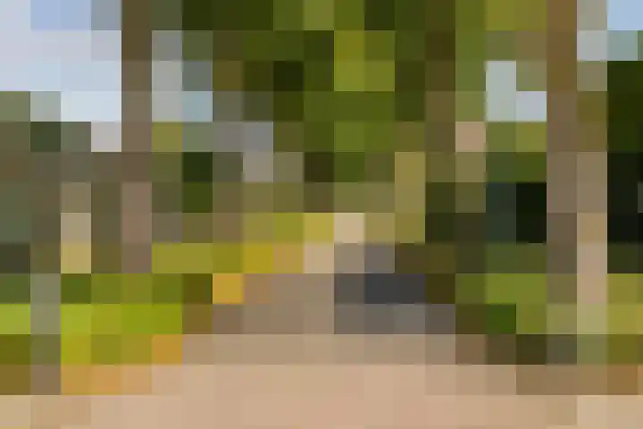 Cimbaalpad 2 Duiven thumbnail 36