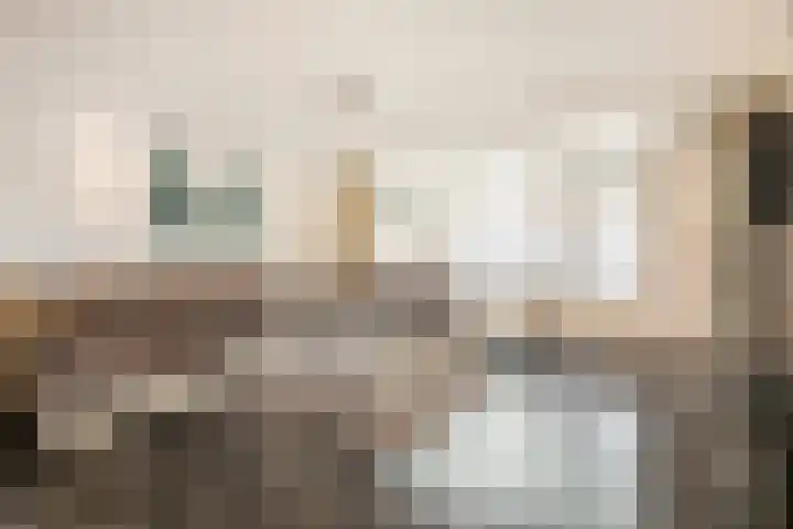 Cimbaalpad 2 Duiven thumbnail 5