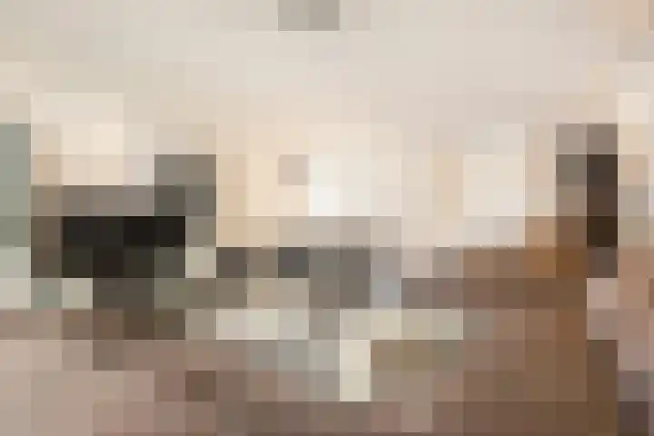 Cimbaalpad 2 Duiven thumbnail 6