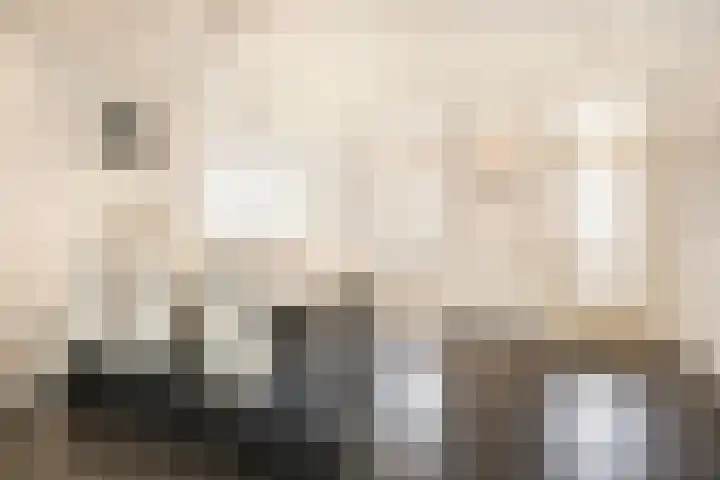 Cimbaalpad 2 Duiven thumbnail 8
