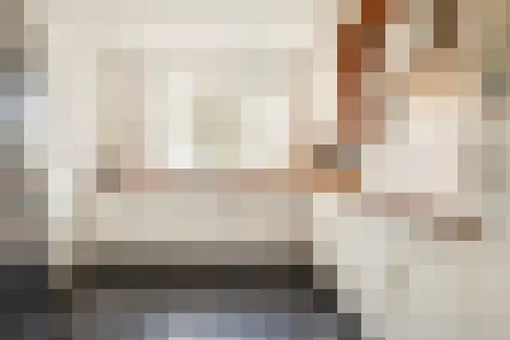 Cimbaalpad 2 Duiven thumbnail 9