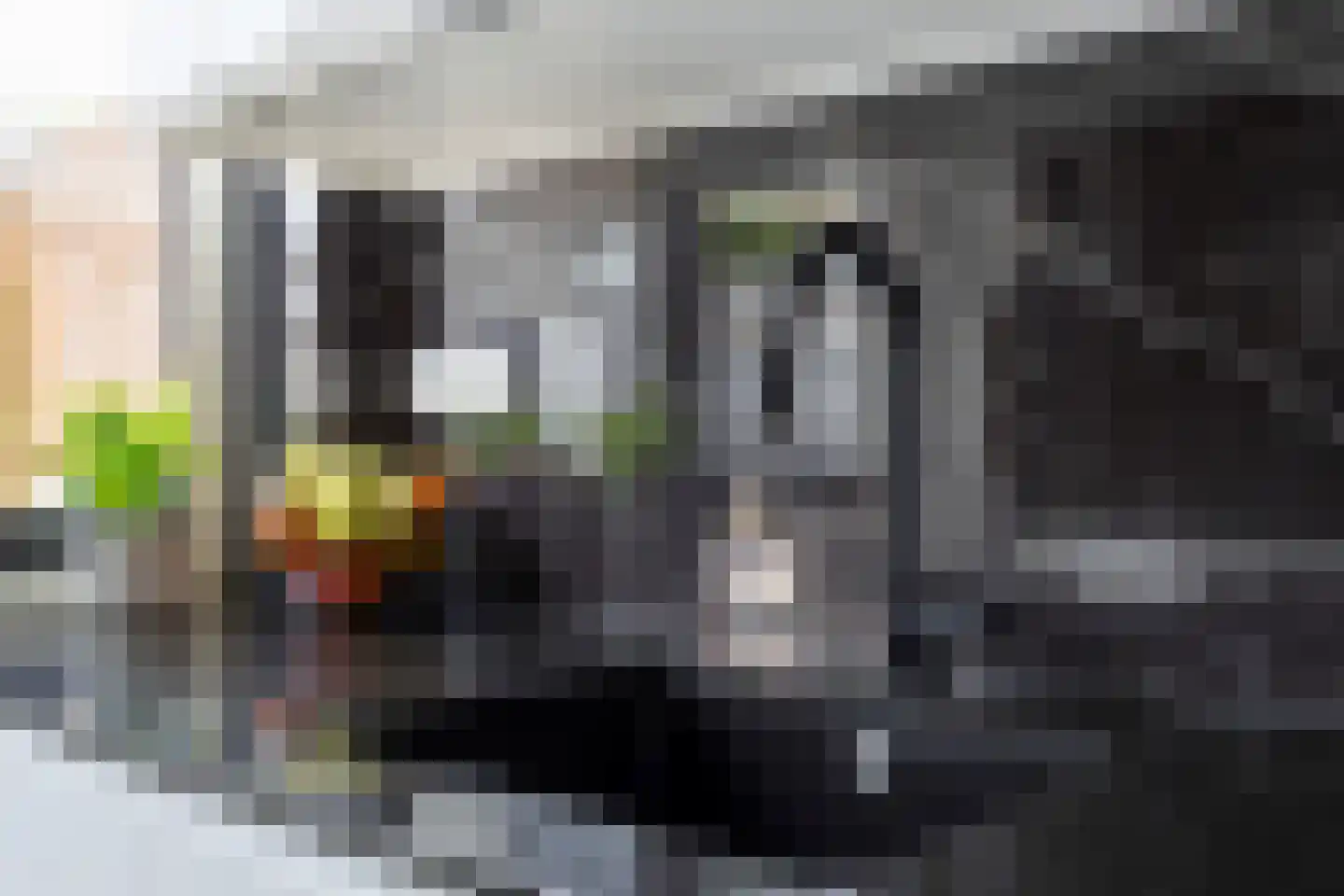 Cimbaalstraat 1 Arkel thumbnail 14