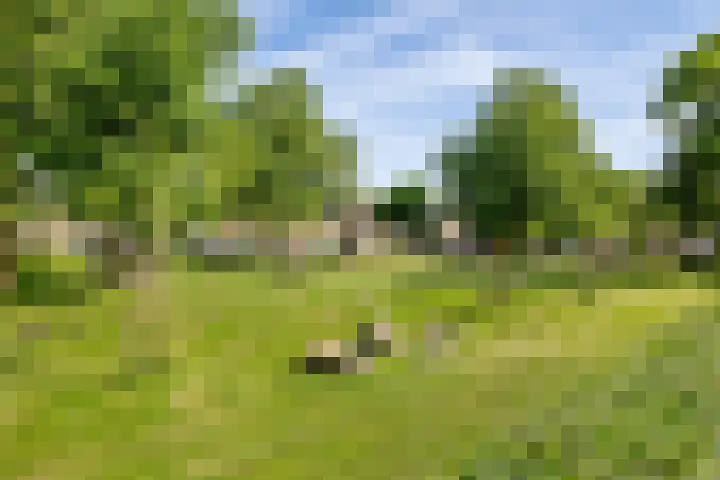 Cimbaalstraat 3 Arkel thumbnail 33