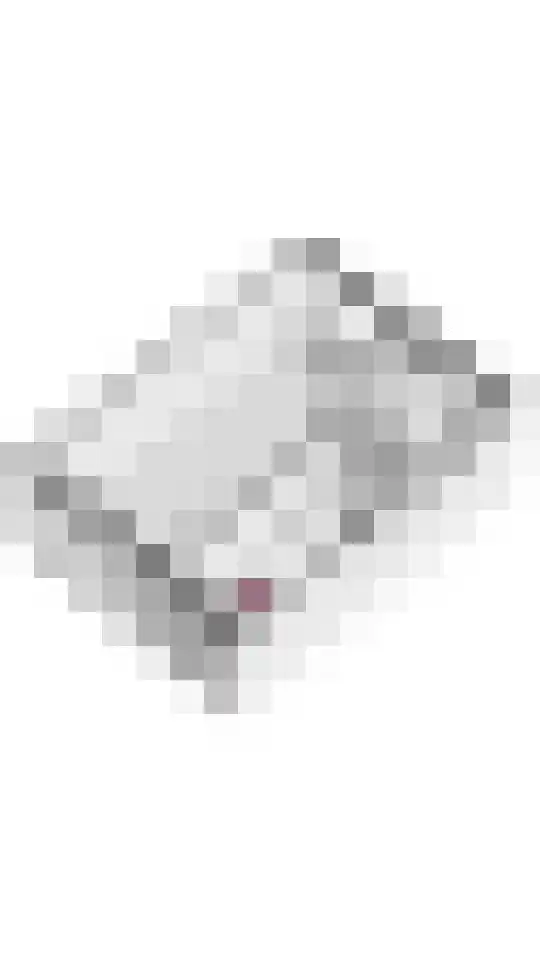 Cimbaalstraat 3 Arkel thumbnail 36