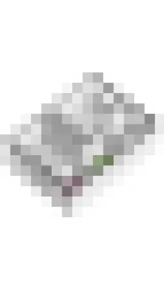 Cimbaalstraat 3 Arkel thumbnail 38