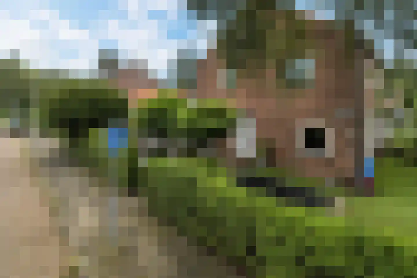 Cimburgalaan 2 Breda thumbnail 10