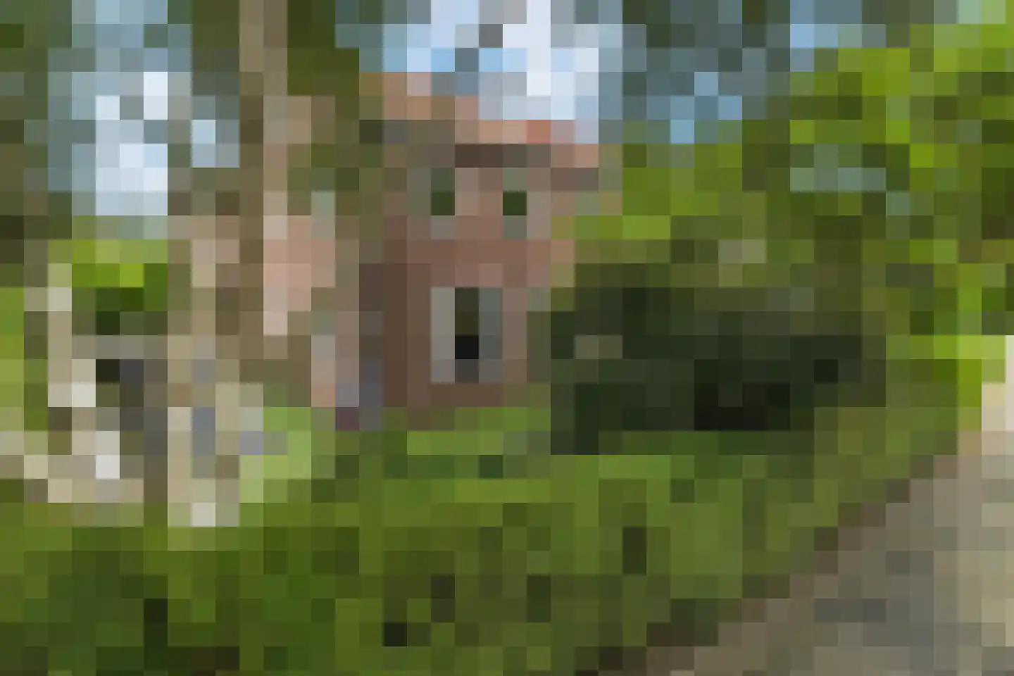 Cimburgalaan 2 Breda thumbnail 13