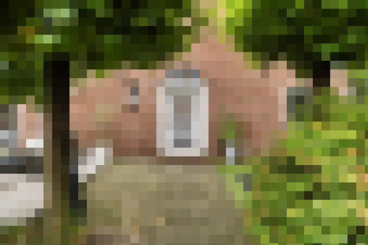 Cimburgalaan 2 Breda thumbnail 16