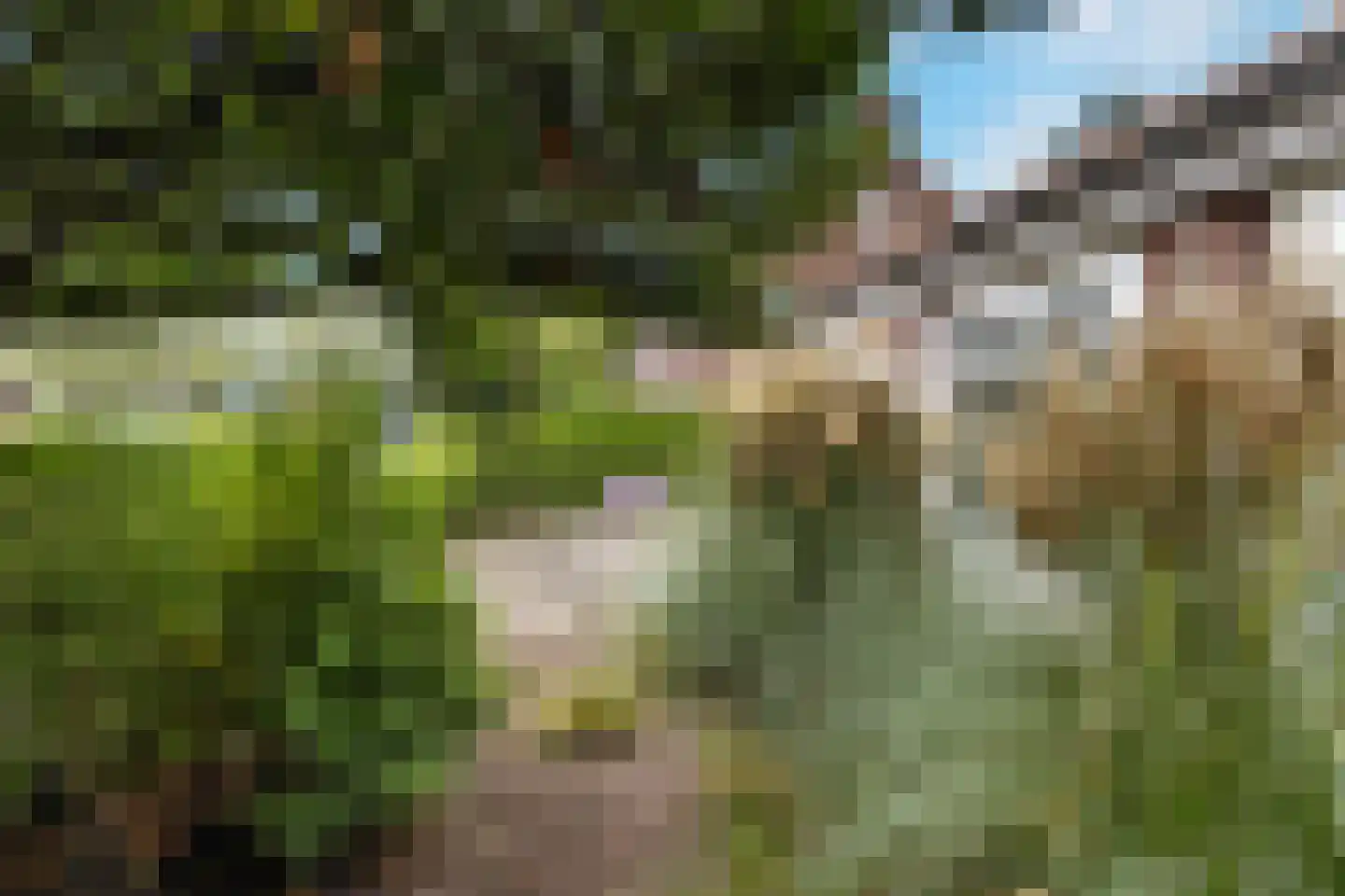 Cimburgalaan 2 Breda thumbnail 17
