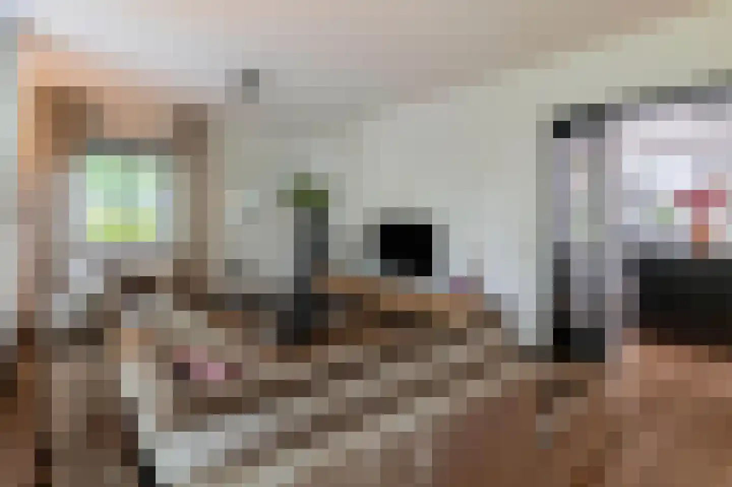 Cimburgalaan 2 Breda thumbnail 25