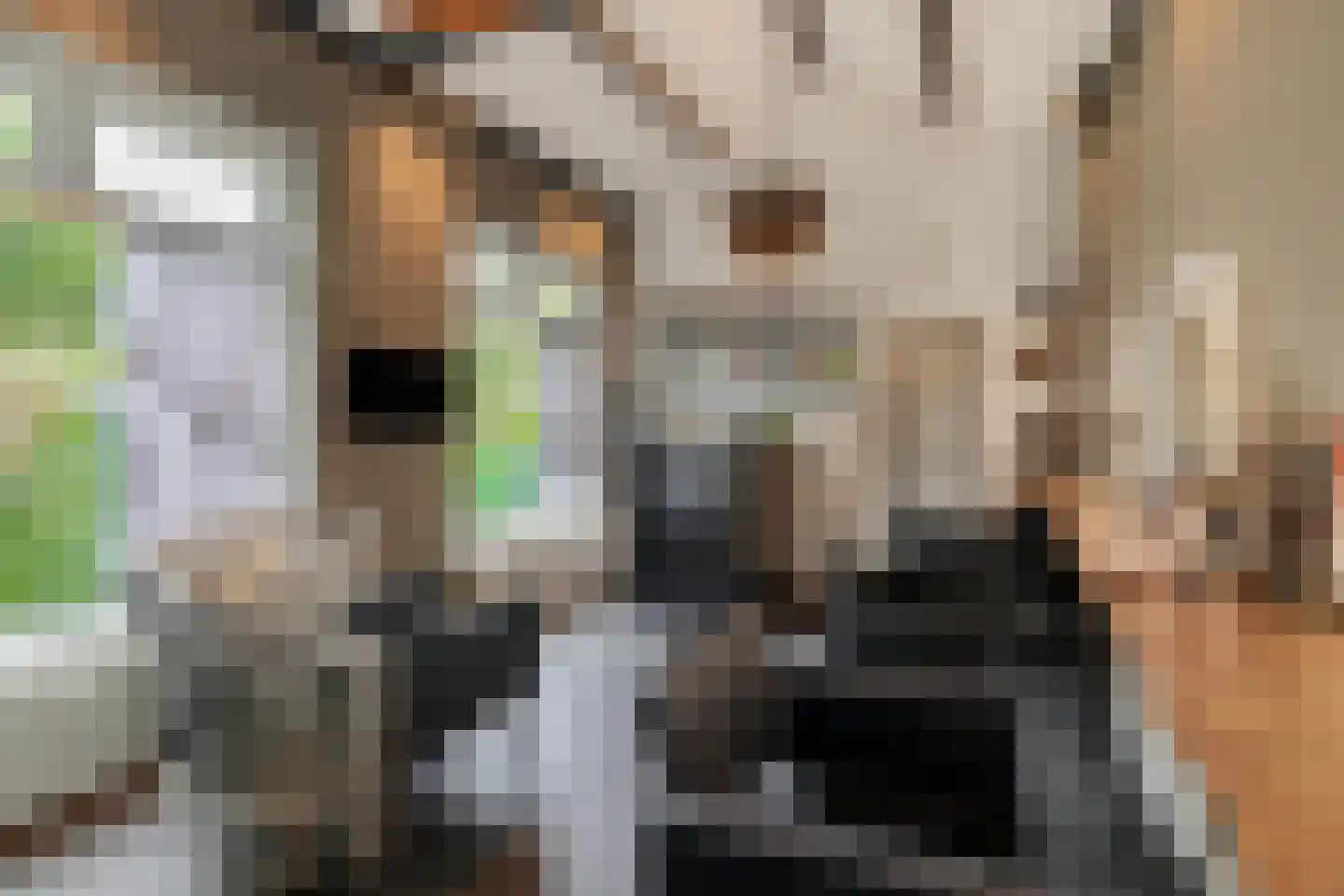 Cimburgalaan 2 Breda thumbnail 38